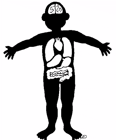 picture of human body boy