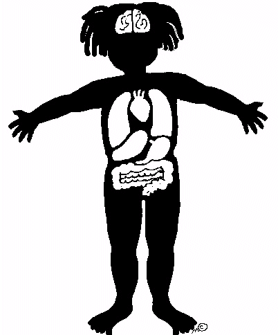picture of human body girl